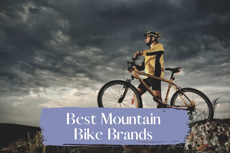 Best Mountain Bike Brands