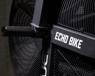 rogue echo bike blades