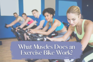 What Muscles Does an Exercise Bike Work